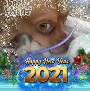 Meet your Posher, Gorka